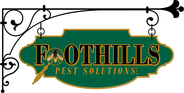 Foothills Pest Solutions